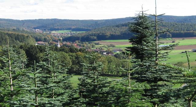 Blick von der Tromm nach Kocherbach und Affolterbach.Beides sind Ortsteile der Gemeinde Wald-Michelbach