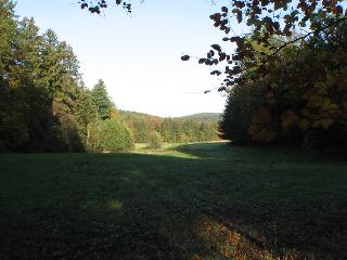 In Grasellenbach, in der Hirschwiese,Blick Richtung Hiltersklingen Mossautal. Hier ist auch der Hildegeresbrunnen.