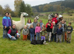 Lamatrekking im Odenwald