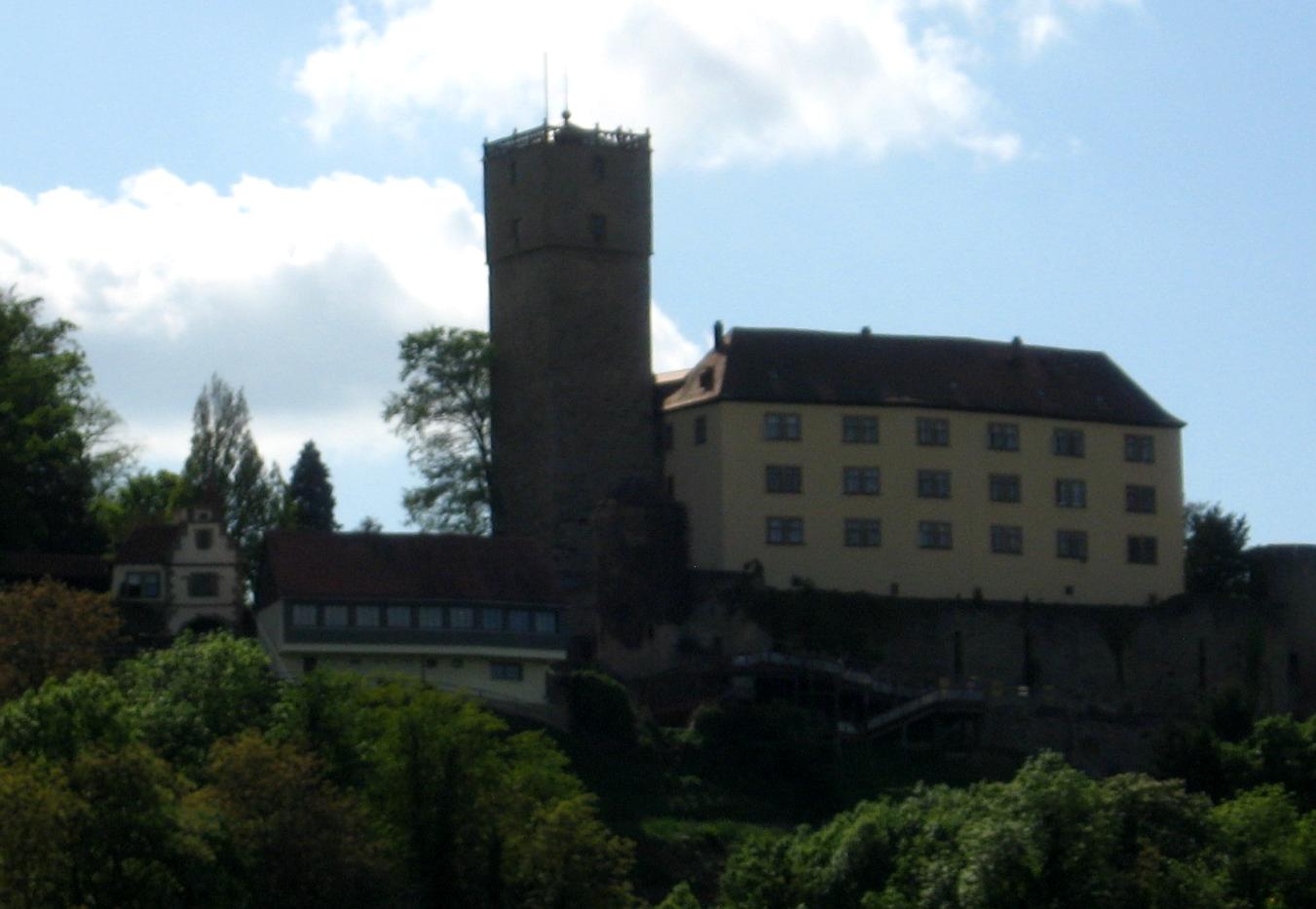 Burg Gutenberg, am Neckar. Sehenswert ist auch die dortige Greifenwarte mit ihren Flugvorführungen.