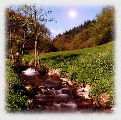 Einer von vielen kleinen B&auml;chen, welche Felder,W&auml;lder u.Wiesen durchziehen.