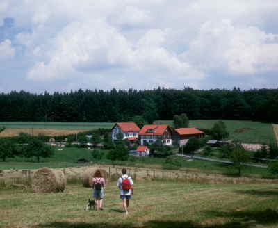 Heuernte im Odenwald, in der Mooswiese, Richtung Tromm.