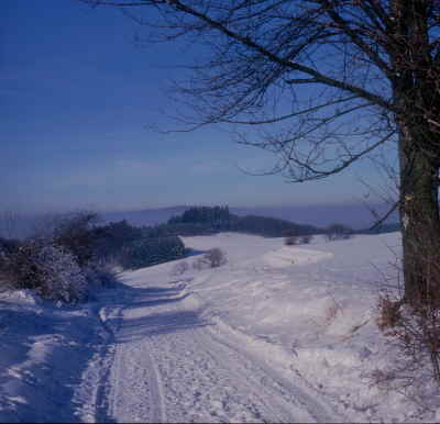Herrliche Wanderung im Winter,in Grasellenbach,im Nibelungenland Odenwald